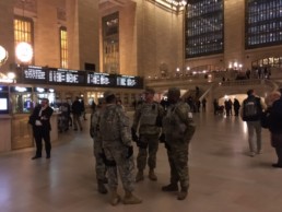 The Protectors of Grand Central Station: Who is in charge here?